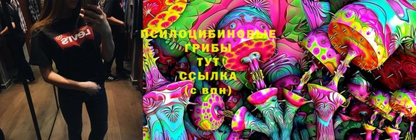 тгк Медвежьегорск