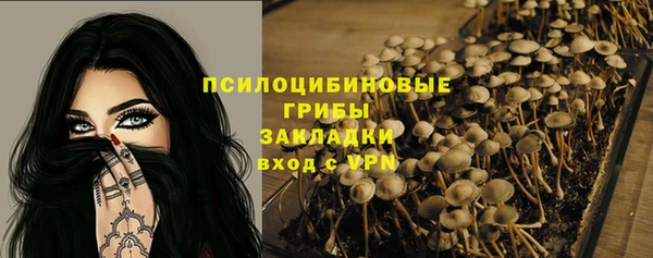 стаф Абдулино