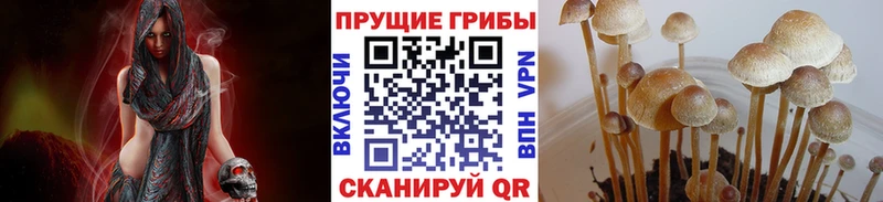 Галлюциногенные грибы MAGIC MUSHROOMS  Азнакаево 
